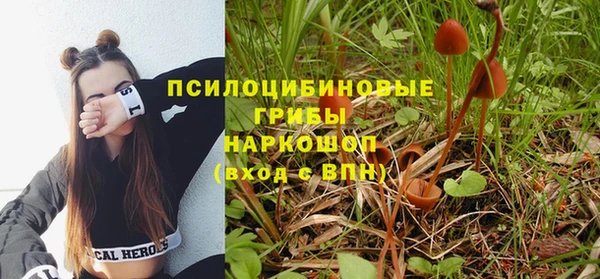 Альфа ПВП Михайловск