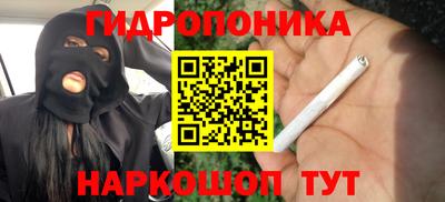 тгк Балаково