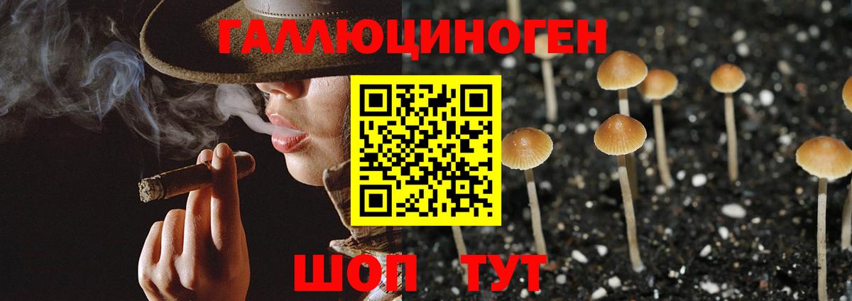 Псилоцибиновые грибы GOLDEN TEACHER  Вход с VPN  Галлюциногенные грибы Psilocybe  Коломна 